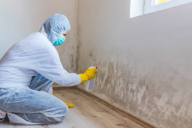 Bathroom Mold Removal assessment in Marshall bathroom