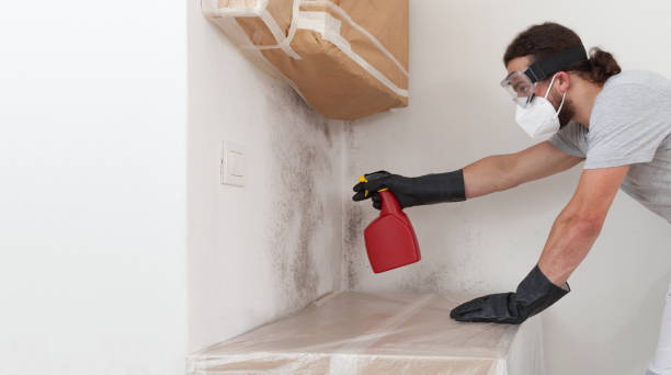 Basement Mold Remediation treatment on basement walls in Marshall